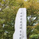 명품참숯 이미지