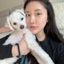 지 ·엠 ·지 이미지