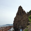 호미반도해안둘레길 이미지