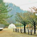 여주-0265 네이버블로그