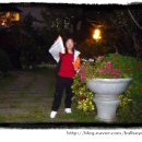 새롬민박 이미지