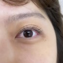 다올한의원 | [강남역 속눈썹] 100% 모근보호시술 강남역속눈썹연장 &#34;다올래쉬&#34;ㅣ위치, 전후비교, 솔직후기