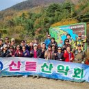 2025년 11월9일 둘째주 일요일 제198회 정기산행 부소담악 ( 추소정 ) 찬조 하신분 이미지