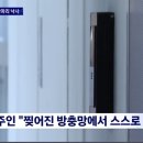 12층서 내던져진 고양이 2마리…주인 "방충망 찢어져서" 이미지