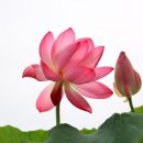 생생마을협동조합 이미지