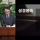 [누가복음] 87. 겨자씨 한 알의 믿음(눅 17: 이미지