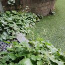 꽃그림천아트 이미지