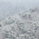 '함박눈 내리는 밤'에로의 초대 이미지