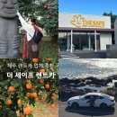 ㈜더세이프렌터카 | 제주여행 제주공항 렌트카 추천 더세이프 렌터카 이용후기(위치, 가격, 할인코드, 혜택, 애견동반)