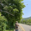 의정부 근교 당일 바베큐,글램핑 삼상리마켓 내돈내산 후기:D (애견동반가능!)