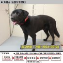 지영골프연습장 이미지