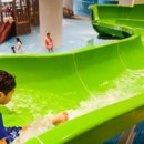 포레스트 리솜 이미지