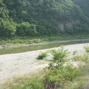 정희농박 이미지