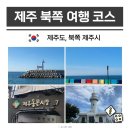 일곱빛깔무지개유치원 | 제주 시내버스투어 공항 근처 가볼만한곳 북쪽 여행 코스 뚜벅이