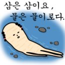 유아시스 이미지