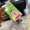 보당약국 이미지