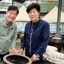콩항아리전통장 이미지