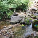 고둔치 솔가 이미지