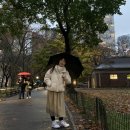 [미국여행] 241123 뉴욕 DAY3 | 브루클린브릿지, 센트럴파크, 브로드웨이 위키드, 타임스퀘어