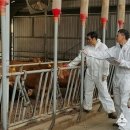 경상북도 축산기술연구소 이미지