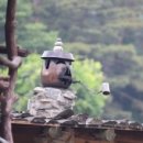 흙집연