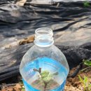 리싸이클세상 이미지