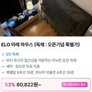 꿈속에그린 2 민박 | 프랑스 파리여행 파리 한인민박 숙소 추천