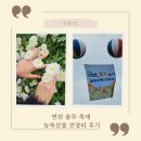 연천 율무 축제 농특산물 큰 장터 후기