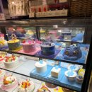 파리바게트 충남예산점 | [파리바게트] 크리스마스 케이크 구경 &amp; 고구마반 생크림반 케이크 후기