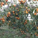 청우농장 이미지