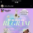 니드포펫 이미지