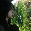 청주왕족보쌈 | 그냥!♡