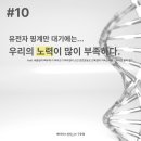 피나는 노력으로 한 이미지