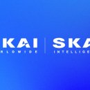 월드스카이 이미지