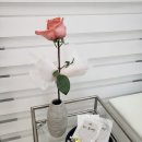 희피부샵