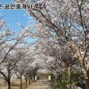 최인모공인중개사사무소 이미지