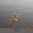 박상진6로L 이미지