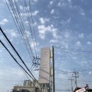 코홀트프로덕트2호점