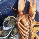 벽란도횟집 이미지