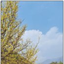 대음여성경로당 이미지