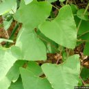 웰빙나라 이미지