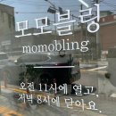 모모블링 이미지