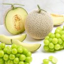 디자인트리 이미지