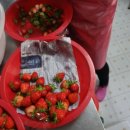 꾸미랑유치원 이미지