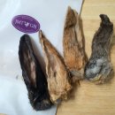 JMT 개밥집 이미지