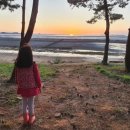 GS25장항솔바람점 이미지