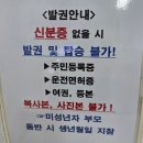 통영종합터미널세차장 | 욕지도팡팡 온라인예약으로 다녀온 욕지도 여행 후기｜통영 욕지도 배편 완벽 정리