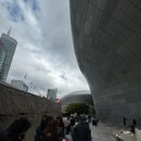 부자세탁 | 2025DDP서울디자인위크후기 그렇게 나는 키링부자가 되었다