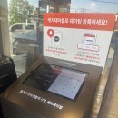 운연동 추어마을 | 인천대공원맛집 어화락 신메뉴 갑오징어볶음 정식 2인 세트 솔직 방문 후기