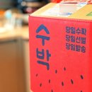 수토마켓 블랙망고수박 당도최고 후기 한입 먹고 바로 인정한 이유